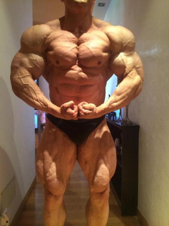 post-6888-0-21262500-1443591905_thumb.jp