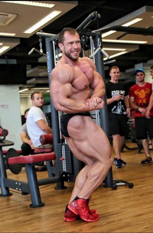 post-6888-0-63825900-1443511405_thumb.jp