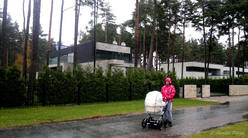 post-1184-0-48955000-1382781097_thumb.jp