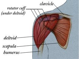 post-29847-0-15595500-1382514665_thumb.j