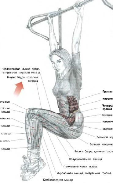 post-32075-0-88126400-1381563925_thumb.j