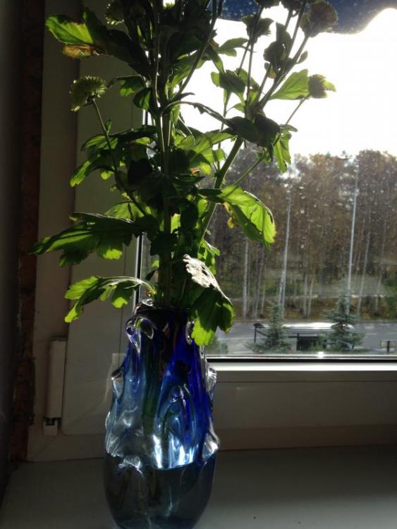 post-32533-0-05372200-1413039174_thumb.j