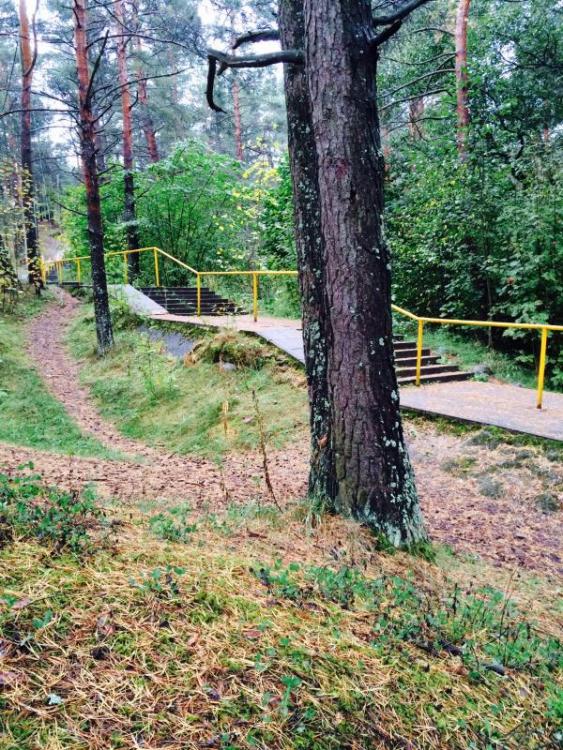 post-34382-0-81296500-1412540617_thumb.j