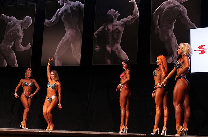 post-1184-0-56487800-1446303786_thumb.jp