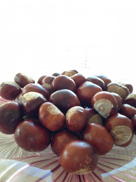 post-32533-0-51913500-1445865741_thumb.j