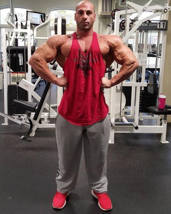 post-6888-0-46213800-1445328574_thumb.jp