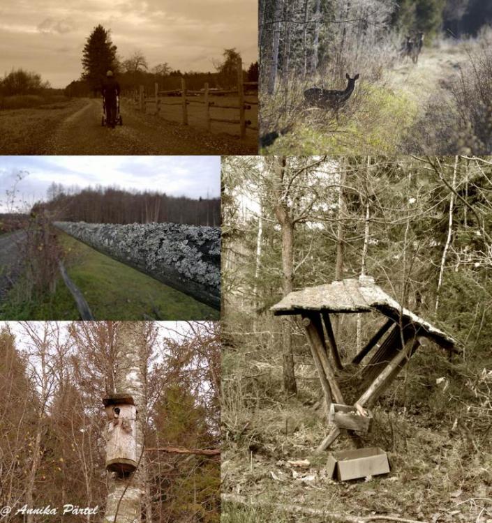 post-1184-0-20311200-1384329521_thumb.jp