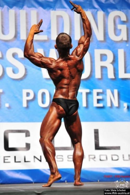 post-6888-0-09801300-1384702354_thumb.jp