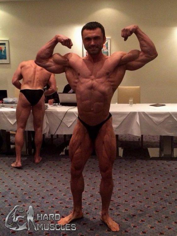 post-6888-0-13967700-1384544244_thumb.jp