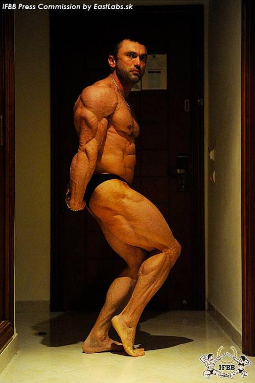 post-6888-0-39527100-1383663397_thumb.jp