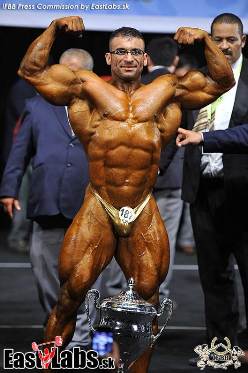 post-6888-0-66966900-1384094218_thumb.jp