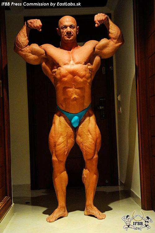 post-6888-0-77348900-1383663410_thumb.jp