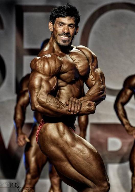 post-6888-0-16608100-1415527569_thumb.jp