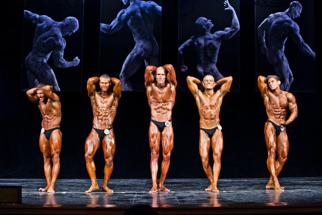 post-22113-0-23031000-1446495354_thumb.j