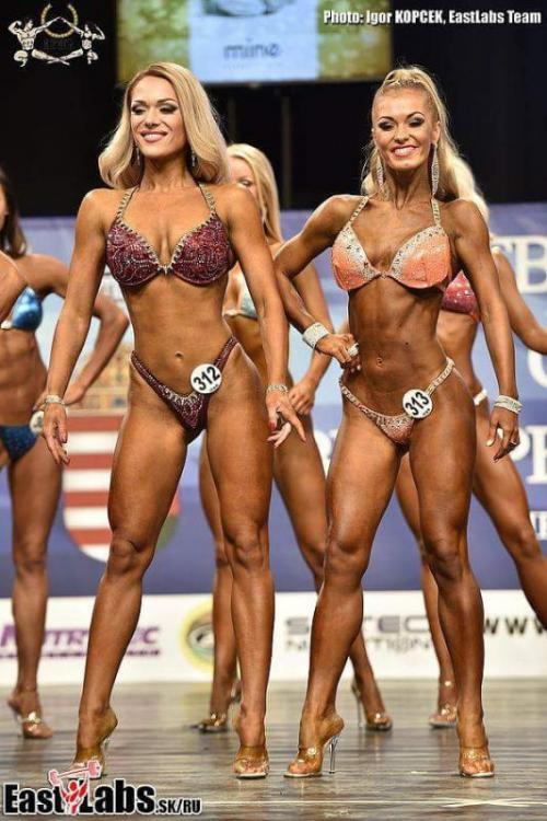 post-24563-0-04432200-1447533195_thumb.j