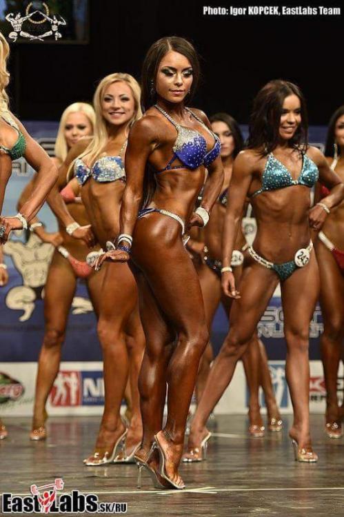 post-24563-0-24491800-1447530756_thumb.j