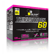 post-25435-0-68734100-1386065932_thumb.p