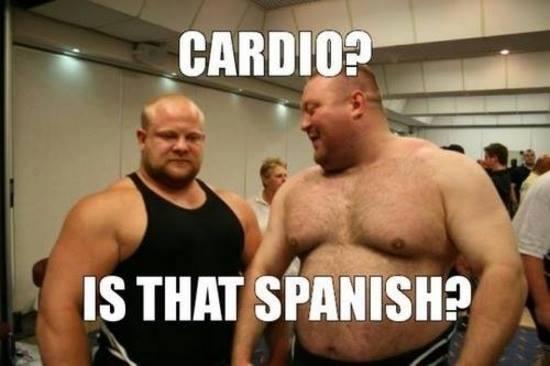 post-29847-0-84831200-1386084426_thumb.j