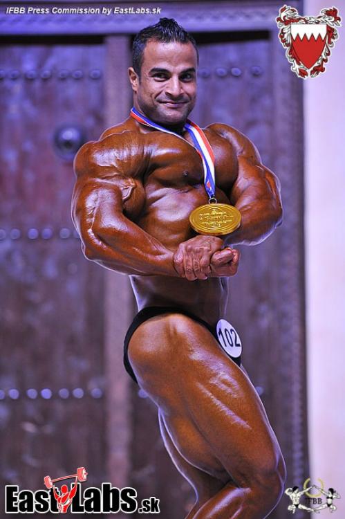 post-6888-0-14636000-1386405448_thumb.jp