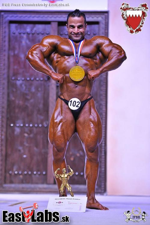 post-6888-0-17062000-1386405443_thumb.jp