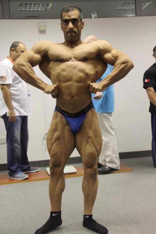 post-6888-0-17790700-1386270019_thumb.jp