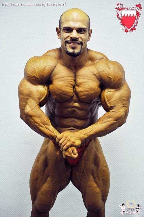 post-6888-0-83000800-1386269710_thumb.jp