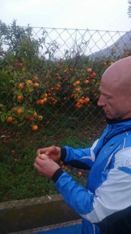 post-26029-0-00349300-1418629612_thumb.j