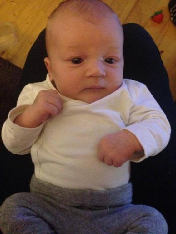 post-4071-0-26445200-1419708905_thumb.jp