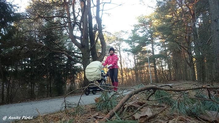 post-1184-0-15948800-1451493427_thumb.jp