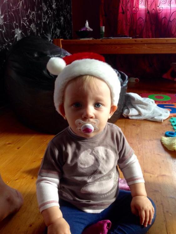 post-28465-0-12291600-1449129535_thumb.j