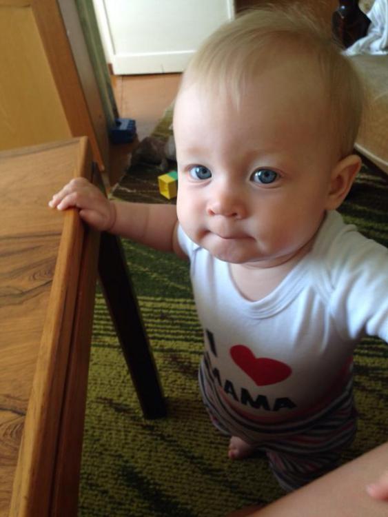 post-28465-0-74851400-1449129458_thumb.j