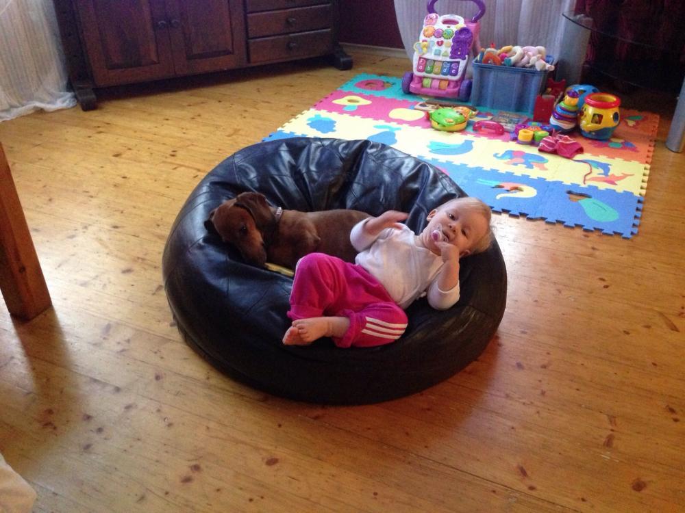 post-28465-0-90637100-1449129206_thumb.j