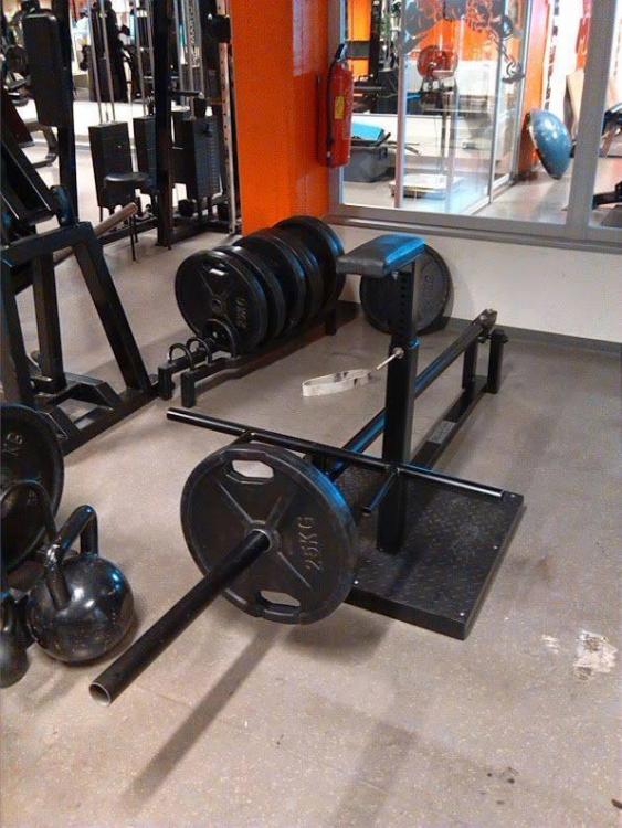 selja pink soome.jpg