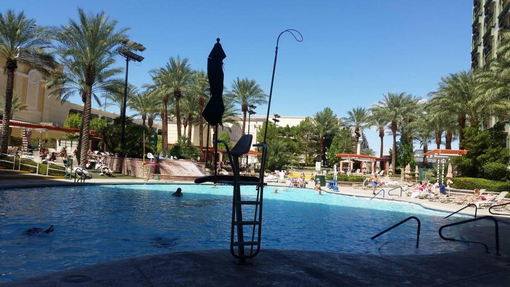 14329378_10154372804686368_990929496_o (1).jpg