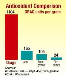 chaga-anitox.jpg.39d2cbada659e9bbc7fd491f6c3f4a14.jpg