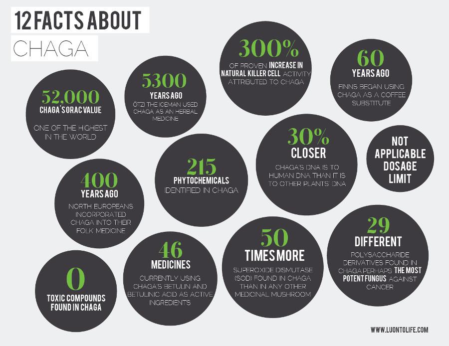 chaga-facts.jpg.86d9ea090e1e5b3315a3c89e244bdbe1.jpg